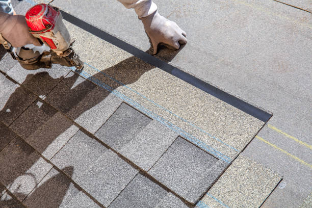 Professional Roofing Contractor in Acres Green, CO